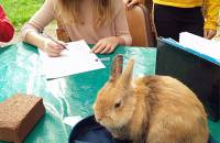 15. September: Leonie beim Kaninchen-Check von Nayla. (Foto: Franzi Owetzki)