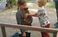 22. September: Jonte darf Bunny streicheln. Swantje erläutert als Tierpflegerin. (Foto: Franzi Owetzki)