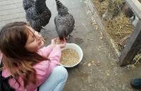 6. Dezember: Letizia füttert die Hühner. (Foto: July Krause)