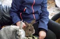 6. Dezember: Swantje hat Leckerlis für Bunny und Polly und erzählt uns von den beiden ... (Foto: Hellas Adlung)