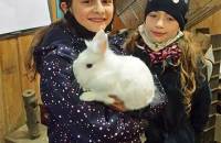 8. Dezember: Zoe und ihre Schwester haben uns ein neues Kaninchen gebracht, es heißt LULA. (Foto: Hellas Adlung)