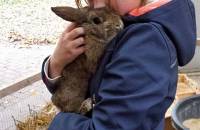 19. November: Kuscheln mit Bunny. (Foto: Hellas Adlung)