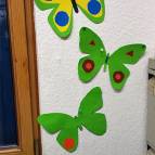2. Februar: Einige Schmetterlinge schmücken schon unsere Bürowand. (Foto: Hellas Adlung)