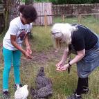 6. Juli: Sadia und Evelyn füttern die Hühner mit Granatäpfelkörnern. Das mögen sie gern. (Foto: Hellas Adlung)
