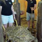13. Juli: Laura und Raphael freuen sich, dass der Ziegenstall gleich fertig ausgemistet ist. (Foto: Hellas Adlung)