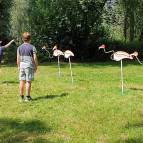 18. Juli: Auf der Wiese warteten schon unsere Flamingos auf die Kinder. Wer schafft es die Ringe über ihren Hals zu werfen? Das ist gar nicht so einfach.