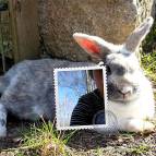 230. März: Auch Polly hat es sich bequem gemacht bei der Wärme, Swantje hat gleich ein Foto mit Briefmarke gemacht. (Foto: Hellas Adlung)