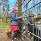 3. April: Sarah füttert die Ziegen. (Foto: July Krause)