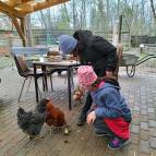 3. April: Die Hühner bekommen auch eine Kleinigkeit. (Foto: July Krause)