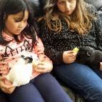 15. Februar: Lexi und Toni lassen sich die Gurken schmecken. (Foto: Hellas Adlung)