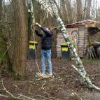 21. Februar: Emil befestigt ein Seil an einem Ast des vom Sturm umgestürzten Baumes. (Foto: Hellas Adlung)