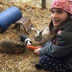 23. Januar: Sarah füttert Bunny, Schoki und Polly. (Foto: Laura Müller)