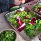 1. März: Wir schneiden Salat und andere frische Sachen für die Tiere. (Foto: Hellas Adlung)