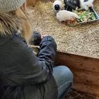 6. März: Es ist immer wieder interessant den Tieren beim Fressen zuzusehen. (Foto: Hellas Adlung)