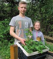 20. Mai: Von Bettina endlich Erdbeerpflanzen für unser Hochbeet ! Tim und Charlotte werden sie gleich einpflanzen.